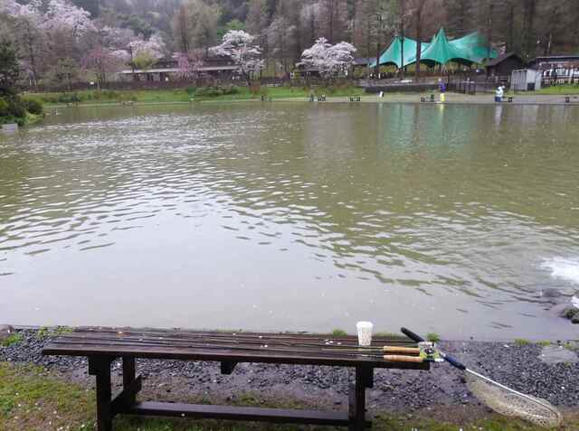 240409秋川湖 (8-1).jpg